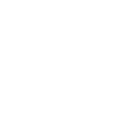 Our Vision